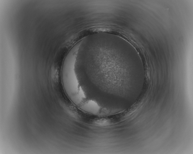 X0000110890551200906251319