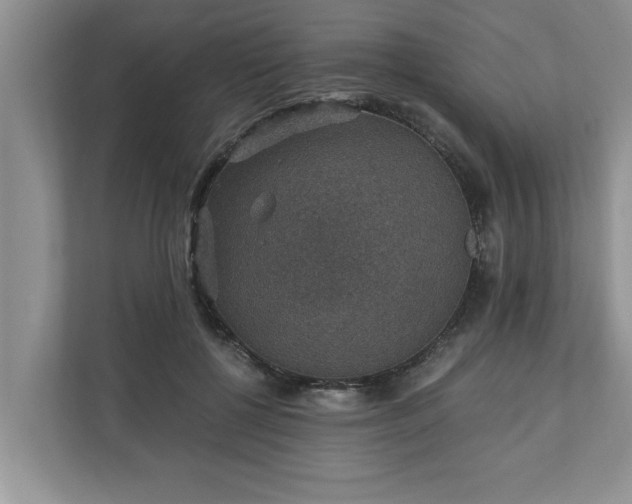 X0000110890552200906251319