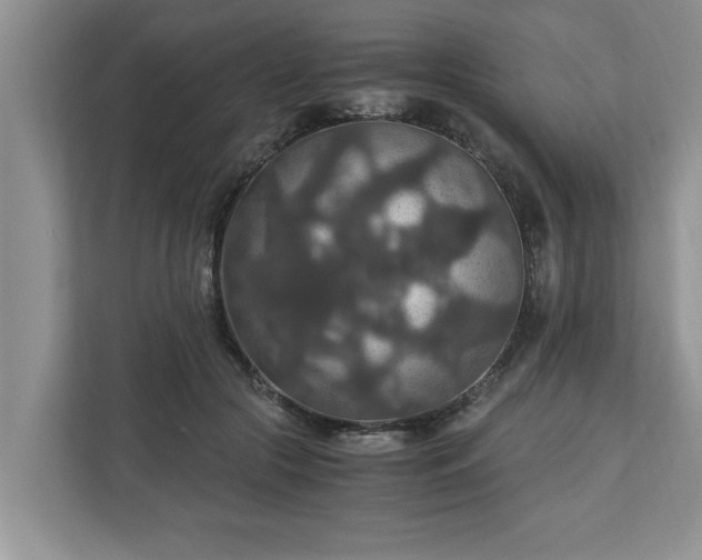 X0000110890553200906251319