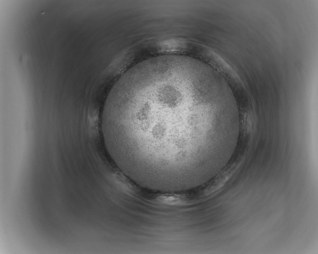 X0000110890557200906251319
