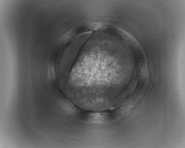 X0000110890558200906251319