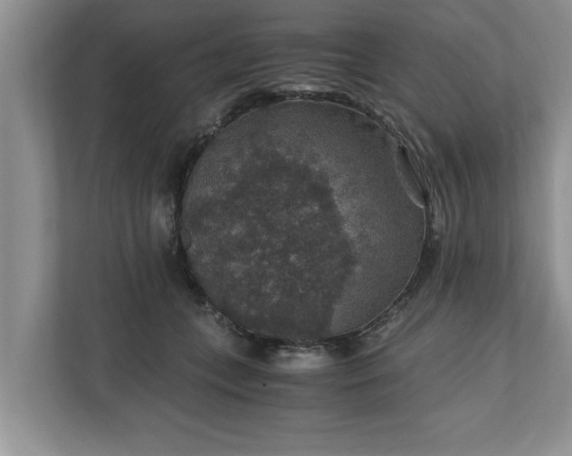 X0000110890559200906251320
