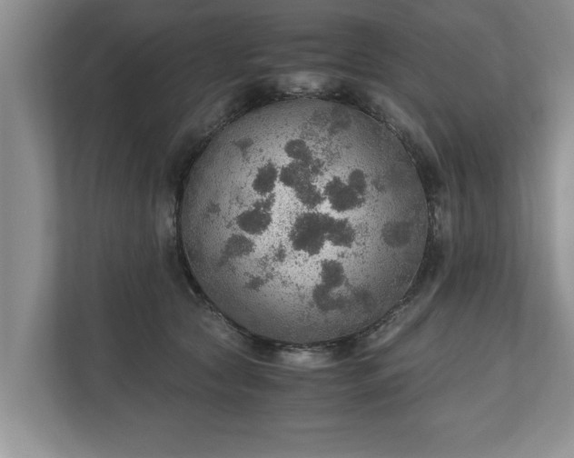 X0000110890561200906251320