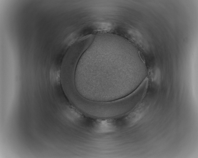 X0000110890564200906251320