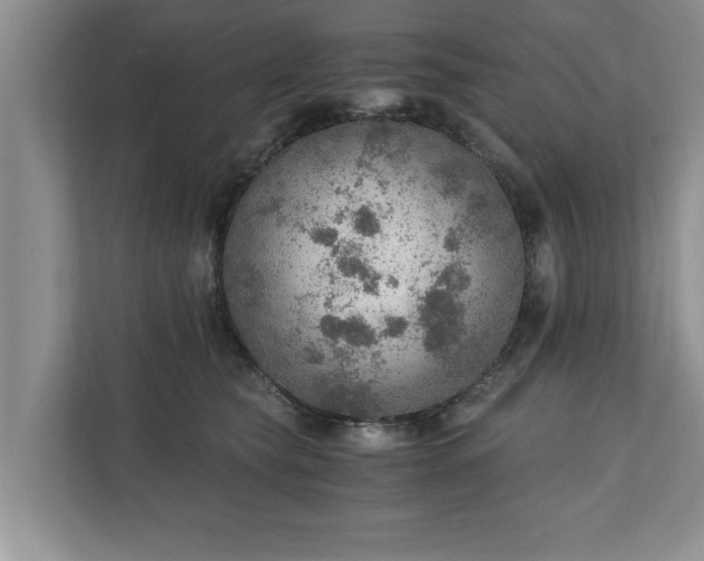 X0000110890565200906251320