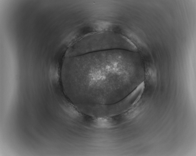 X0000110890566200906251320