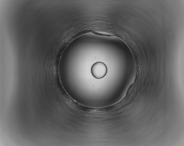 X0000110890568200906251320