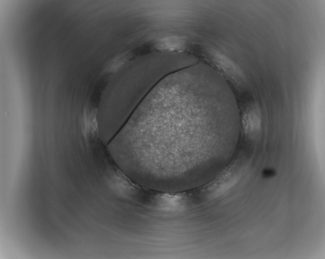 X0000110890570200906251320