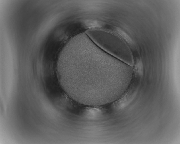 X0000110890572200906251320