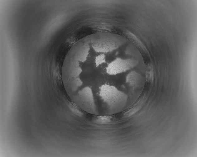 X0000110890573200906251320