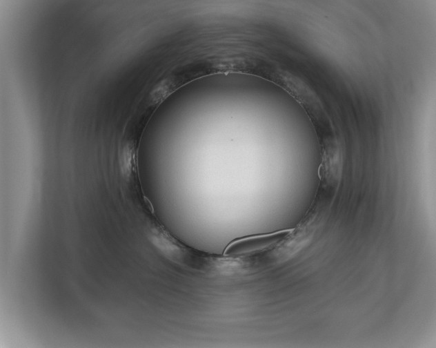X0000110890574200906251320