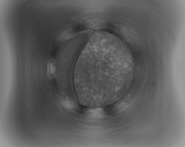 X0000110890576200906251320