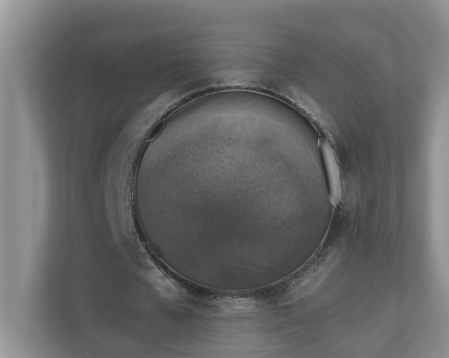 X0000110890577200906251319
