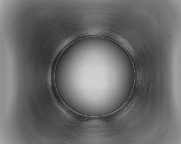X0000110890578200906251319