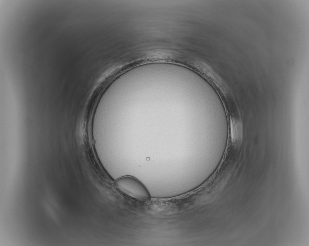 X0000110890579200906251319