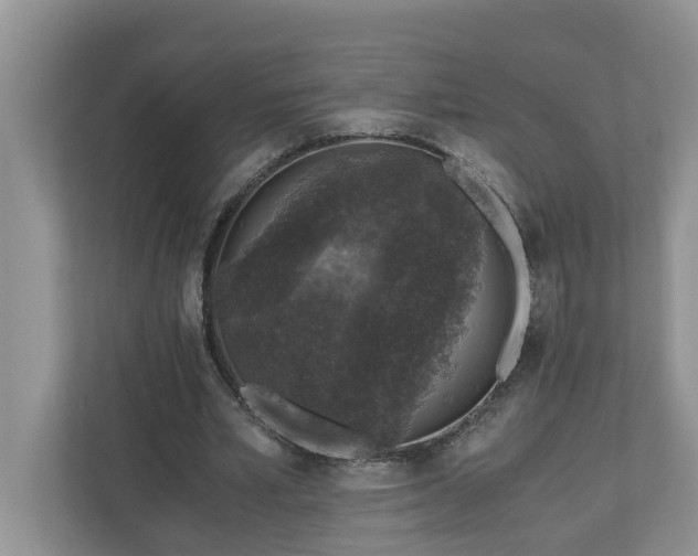 X0000110890581200906251319