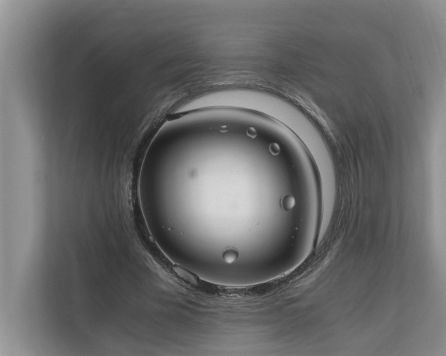 X0000110890585200906251319