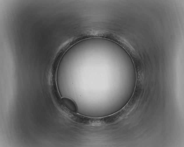 X0000110890587200906251319
