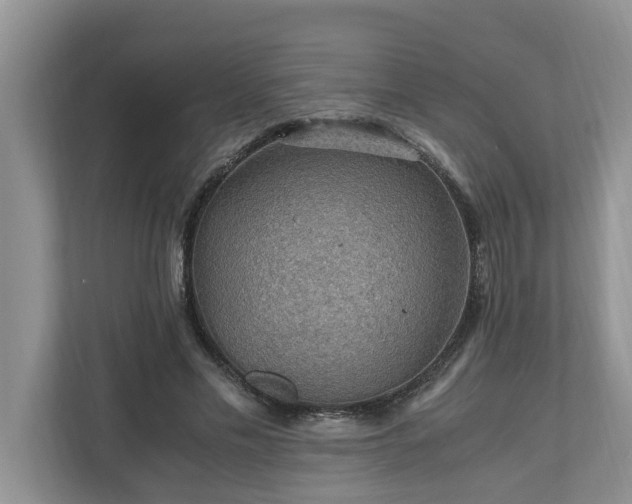 X0000110890589200906251319
