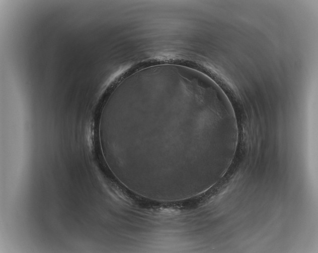 X0000110890592200906251319