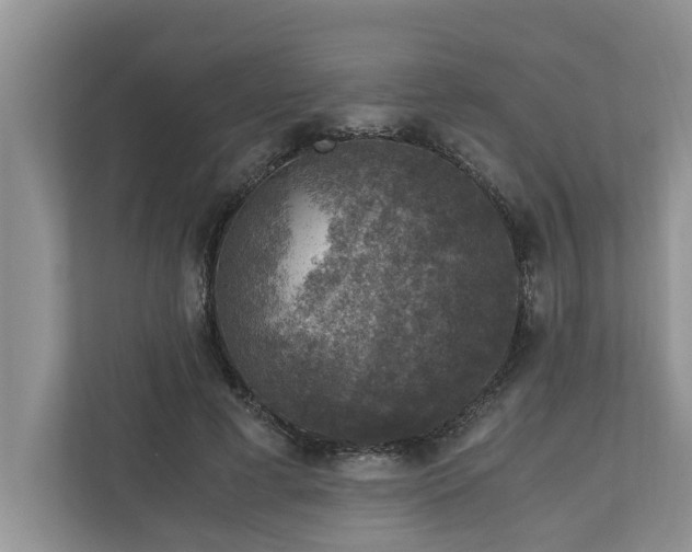 X0000110890593200906251319