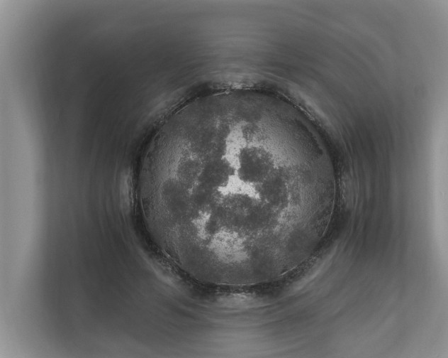 X0000110890594200906251319