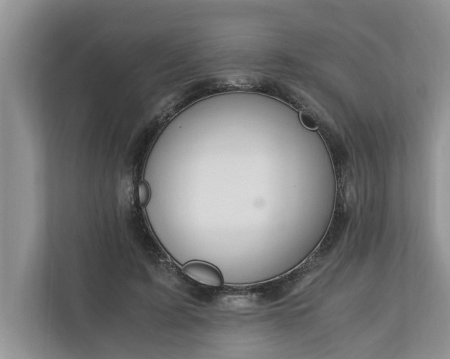 X0000110890595200906251319