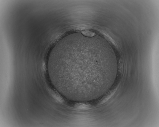 X0000110890597200906251319