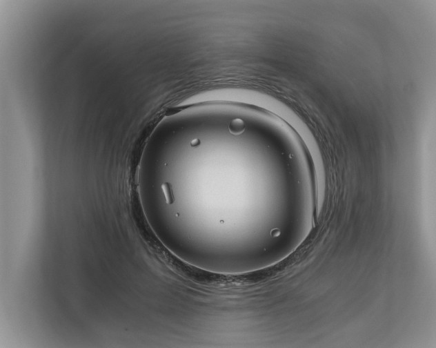 X0000110890599200906251319