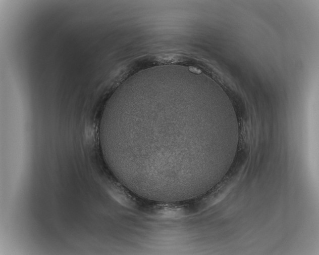 X0000110890601200906251319