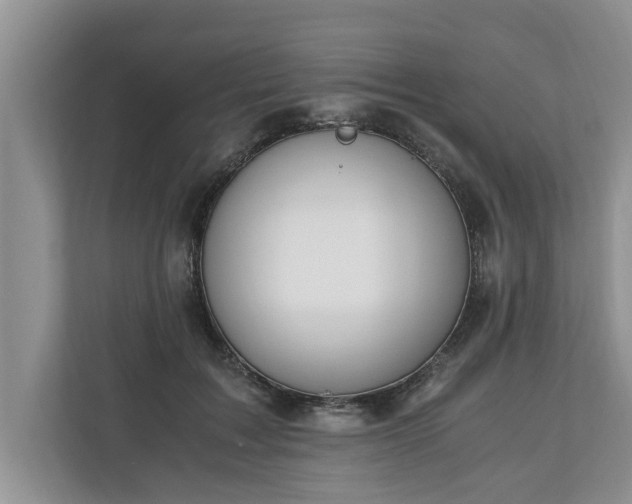 X0000110890603200906251319