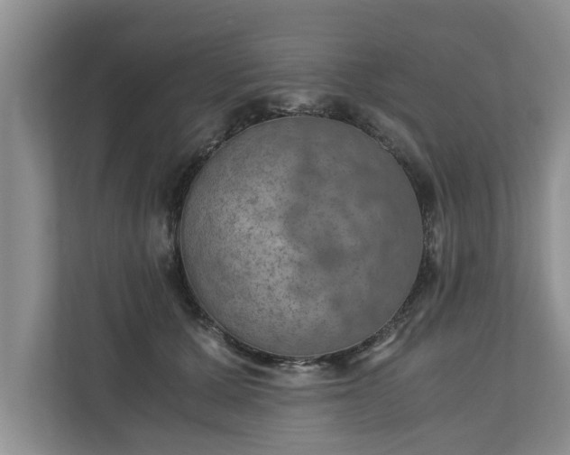 X0000110890607200906251319