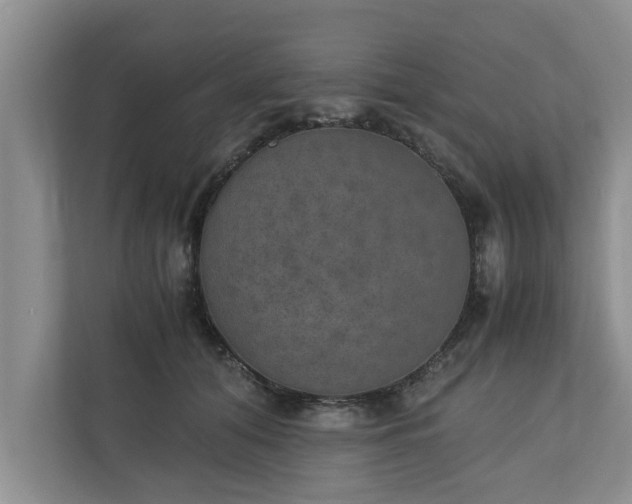 X0000110890608200906251319