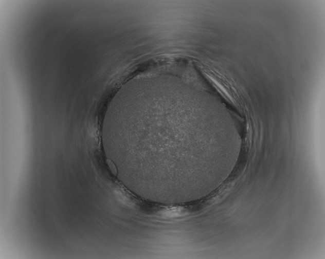 X0000110890609200906251319