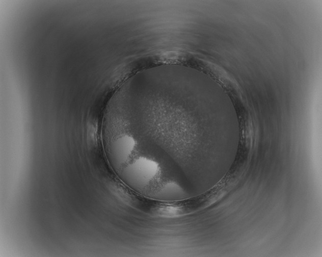 X0000110890610200906251319
