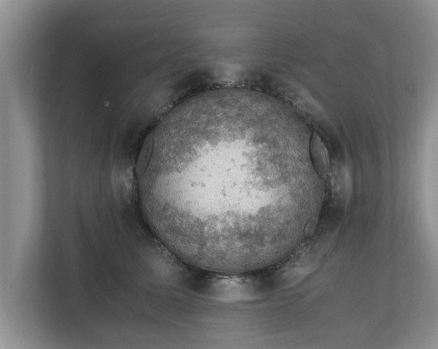X0000110890611200906251319
