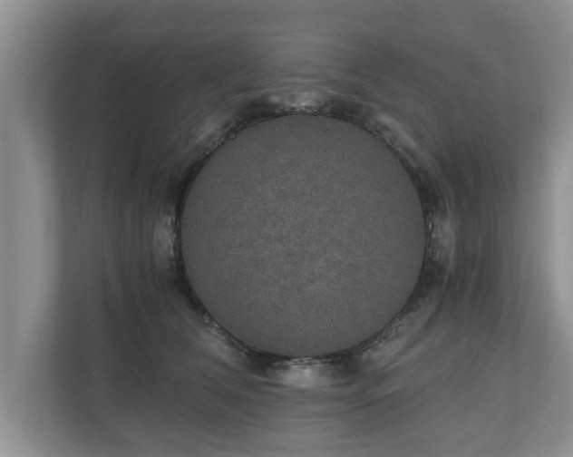 X0000110890612200906251319