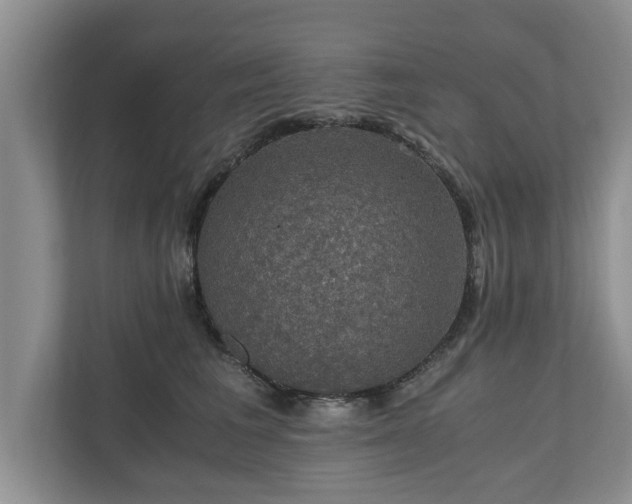 X0000110890613200906251319