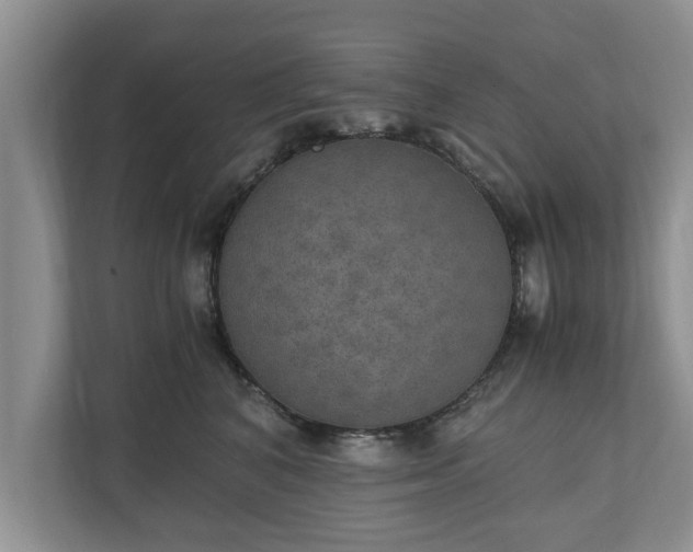 X0000110890616200906251319