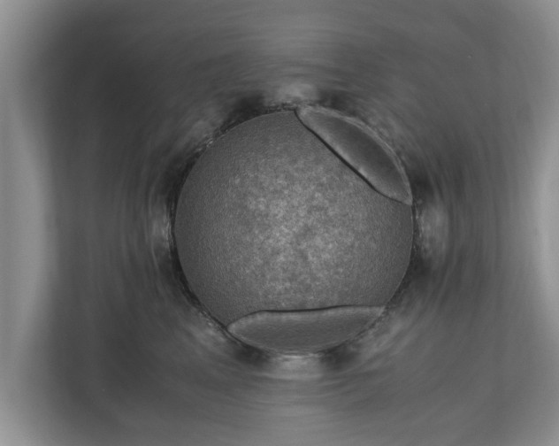 X0000110890617200906251319
