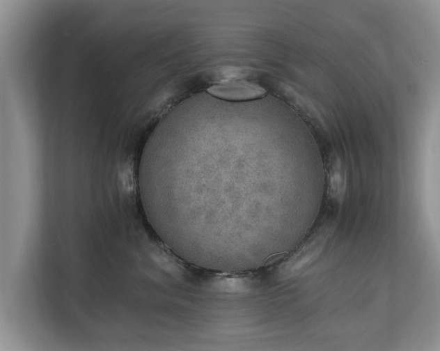 X0000110890620200906251319