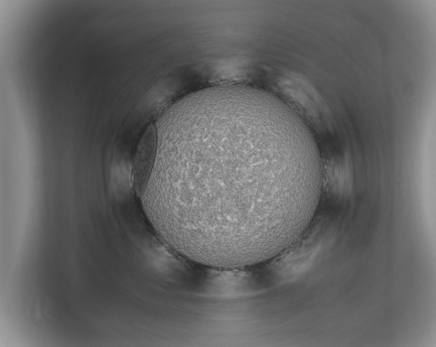 X0000110890621200906251319