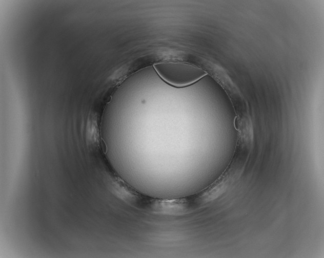 X0000110890622200906251319