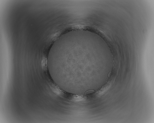 X0000110890624200906251318