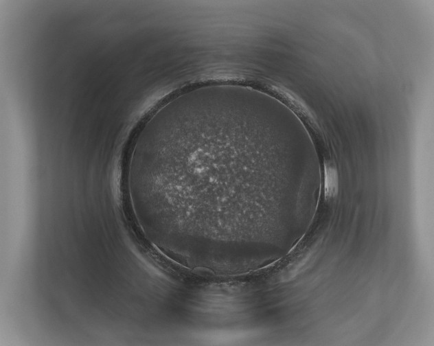 X0000110890627200906251318