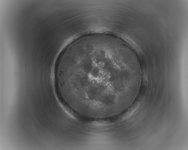 X0000110890630200906251318