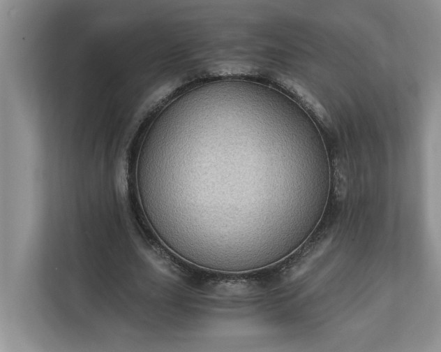 X0000110890631200906251318