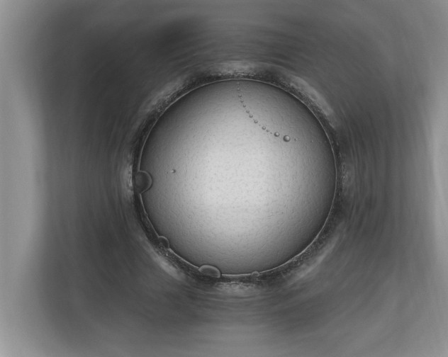 X0000110890633200906251318