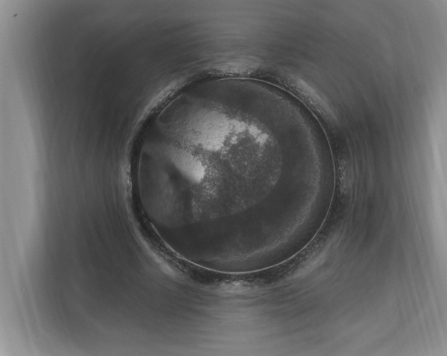 X0000110890634200906251318