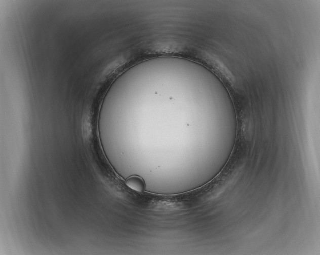 X0000110890635200906251318